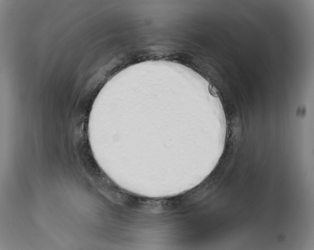 X0000114000615200911131142