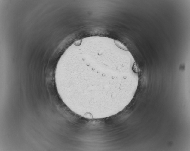 X0000114000619200911131142