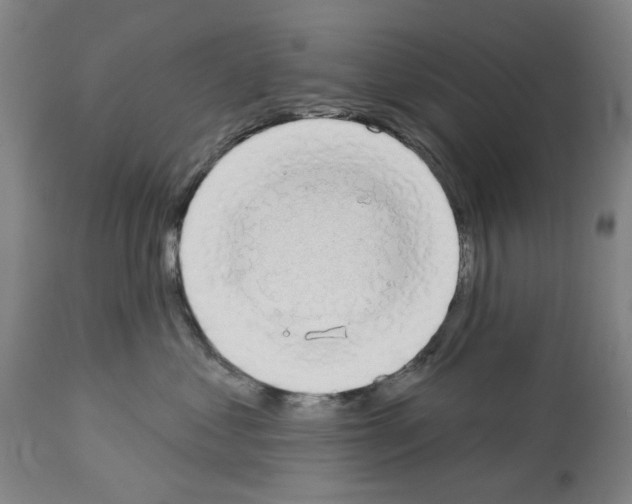 X0000114000621200911131142