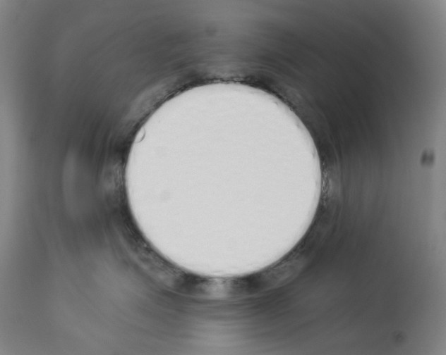 X0000114000623200911131142