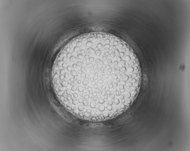 X0000114000626200911131141