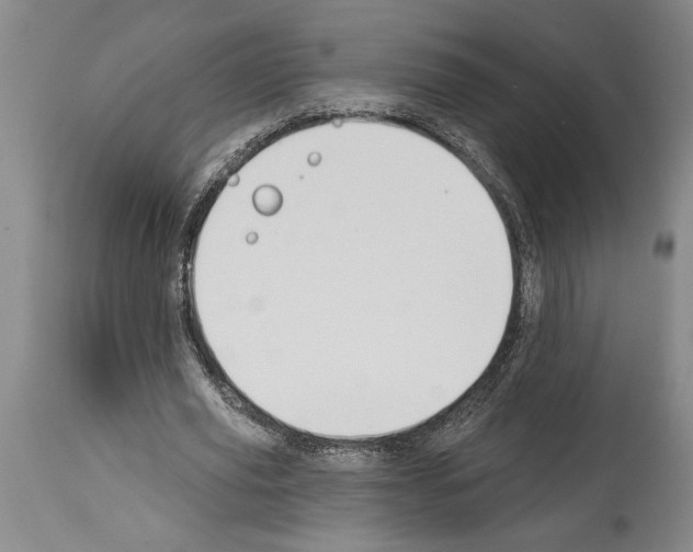 X0000114000629200911131141