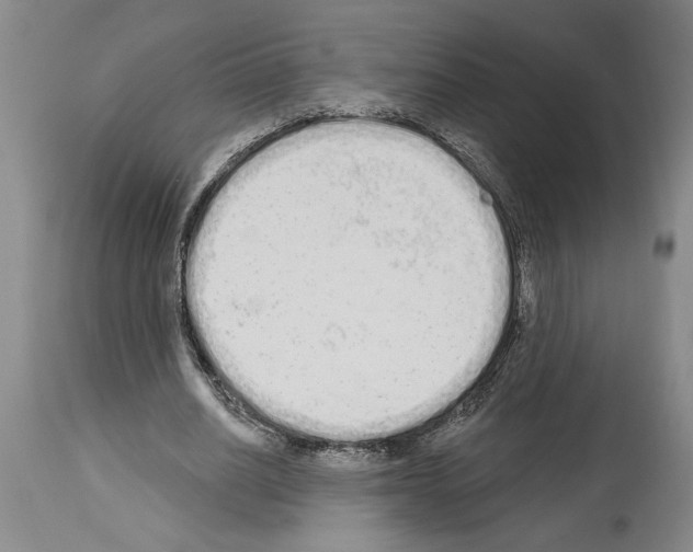 X0000114000630200911131141