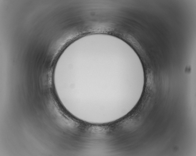 X0000114000632200911131141