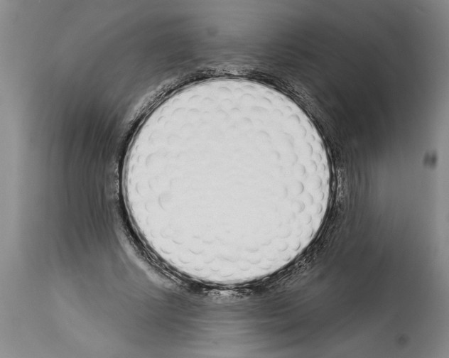 X0000114000634200911131141