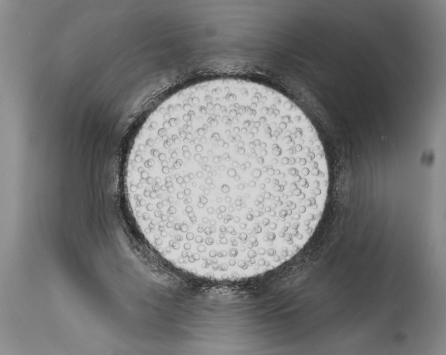 X0000114000635200911131141