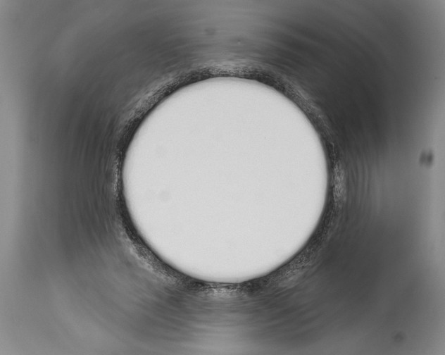 X0000114000637200911131141