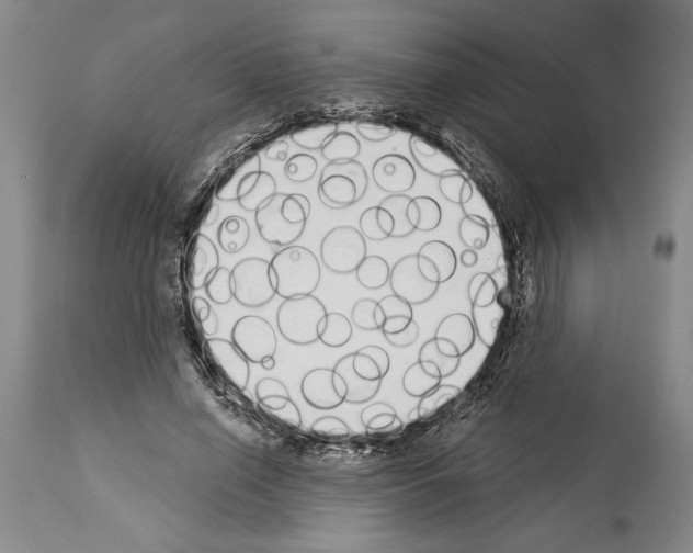 X0000114000638200911131141
