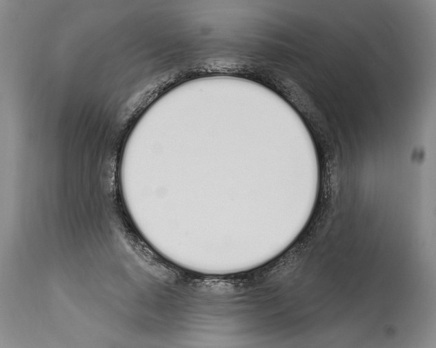 X0000114000640200911131141
