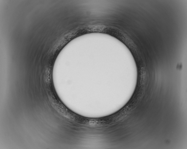 X0000114000641200911131141