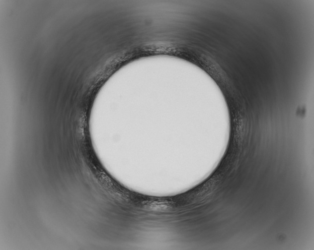 X0000114000643200911131141