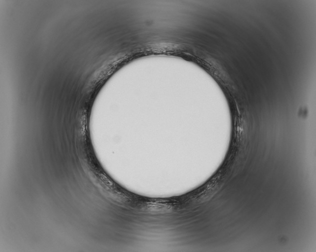 X0000114000644200911131141