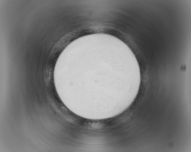 X0000114000645200911131142