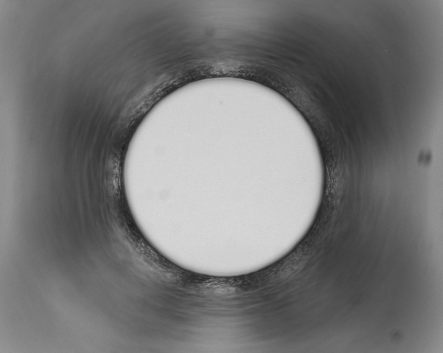 X0000114000648200911131142