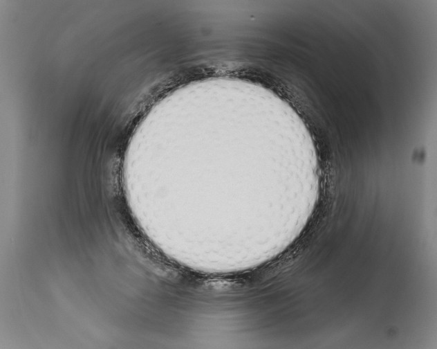 X0000114000650200911131142