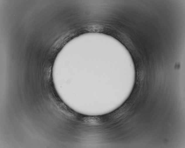 X0000114000652200911131142