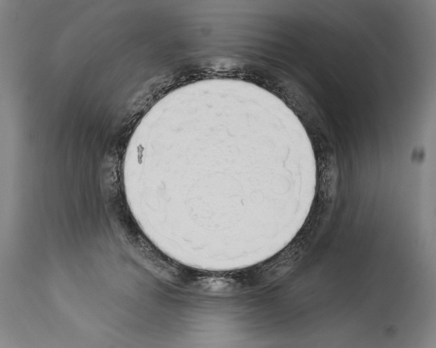 X0000114000654200911131142