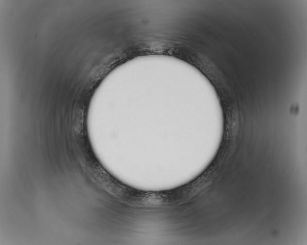 X0000114000656200911131142