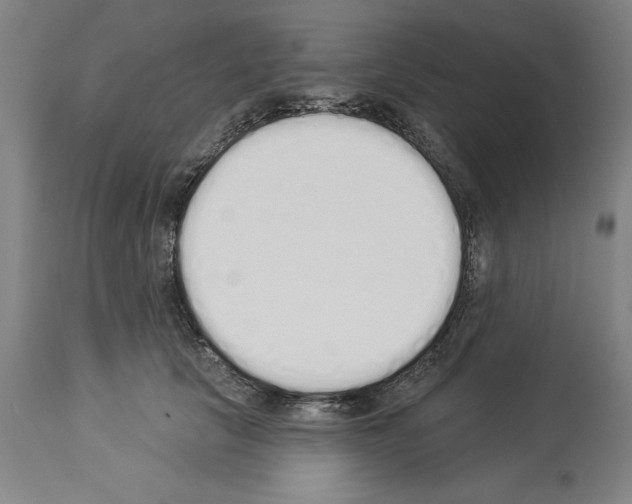 X0000114000657200911131142