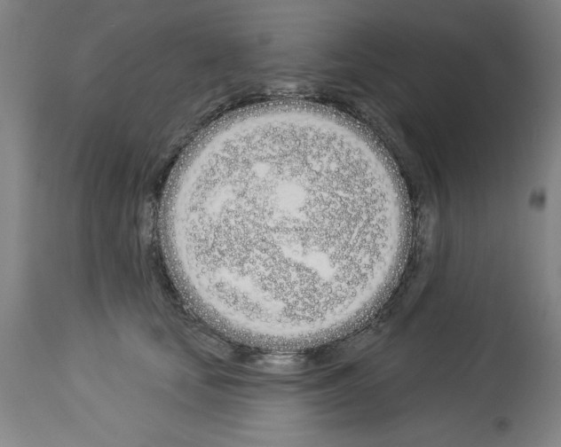 X0000114000659200911131142