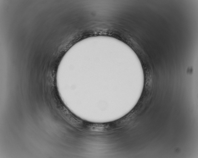 X0000114000661200911131142