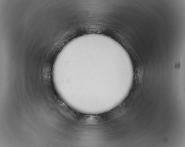 X0000114000663200911131142