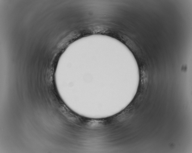 X0000114000664200911131142