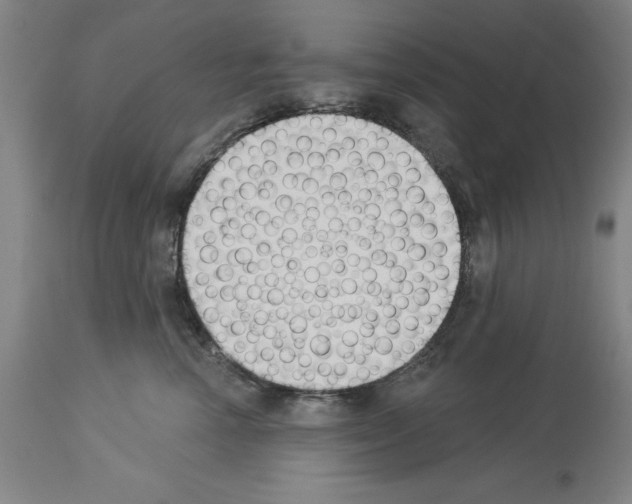 X0000114000666200911131142