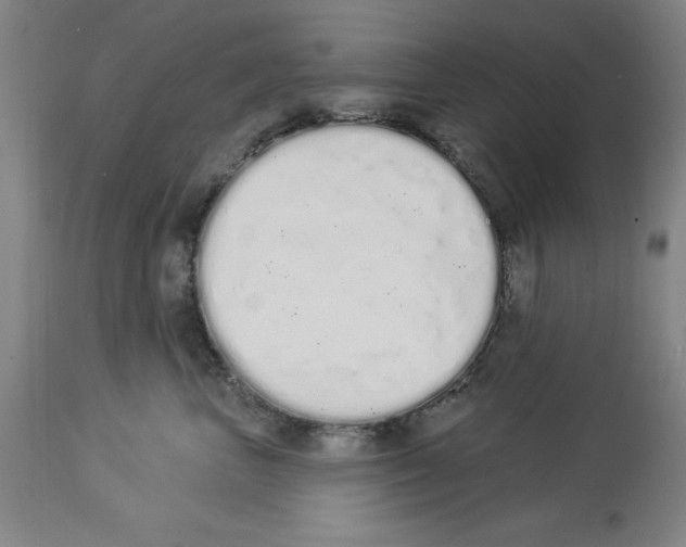 X0000114000667200911131142
