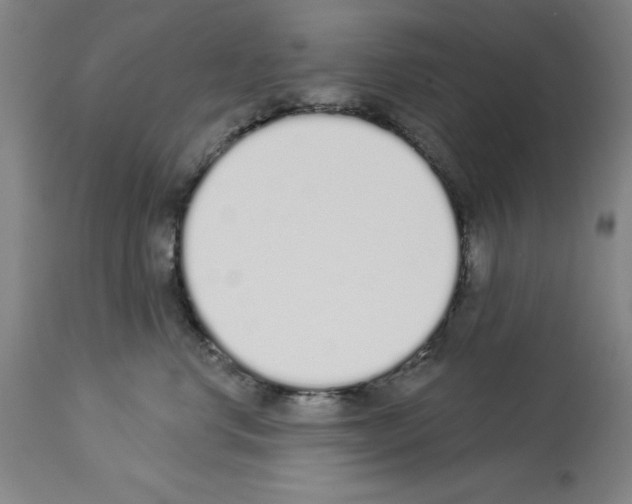 X0000114000668200911131142