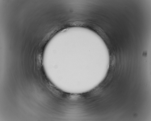 X0000114000669200911131142