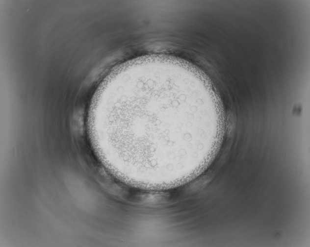 X0000114000670200911131142