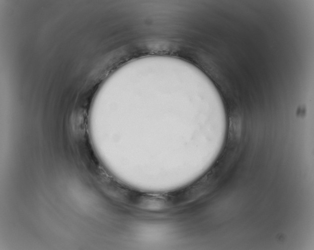 X0000114000671200911131142