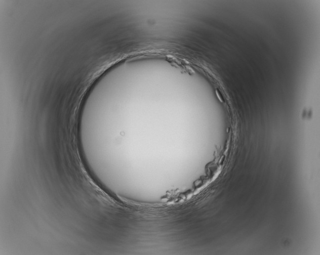 X0000114000673200911131141