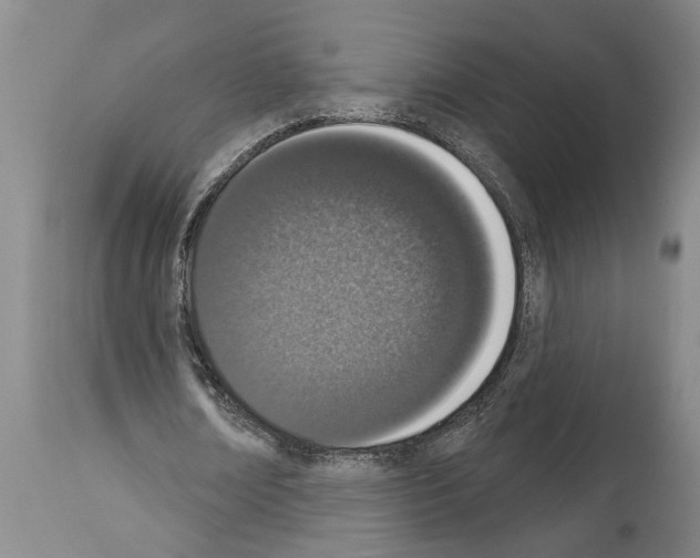 X0000114000674200911131141