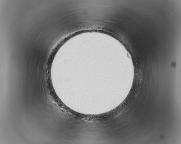 X0000114000676200911131141