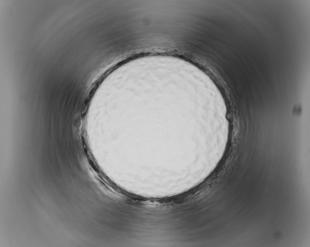 X0000114000677200911131141