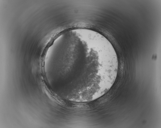 X0000114000678200911131141