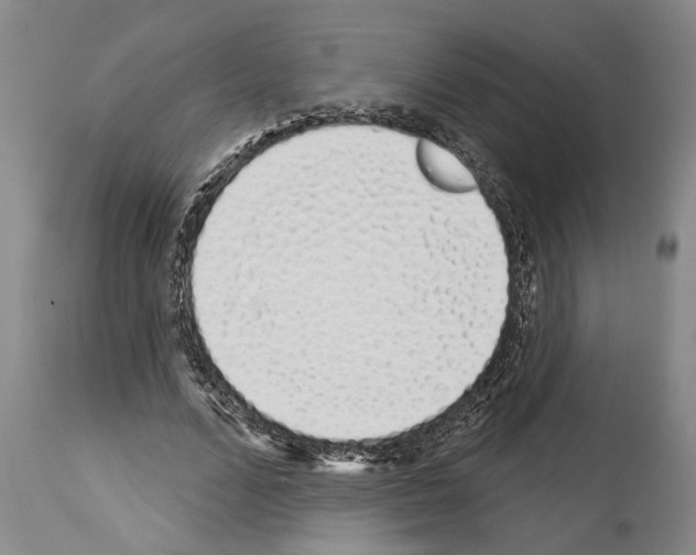 X0000114000680200911131141