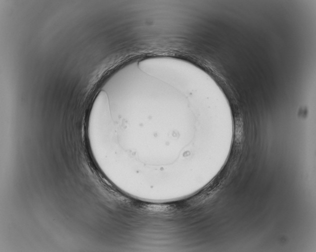 X0000114000685200911131141