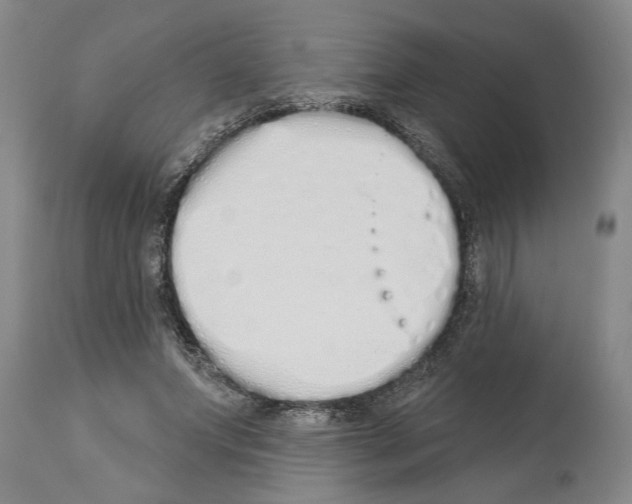 X0000114000687200911131141