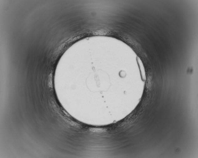 X0000114000689200911131141