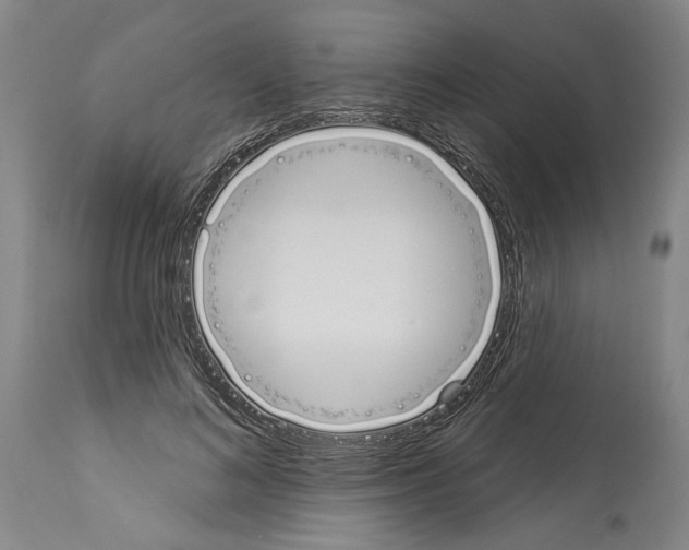 X0000114000692200911131141