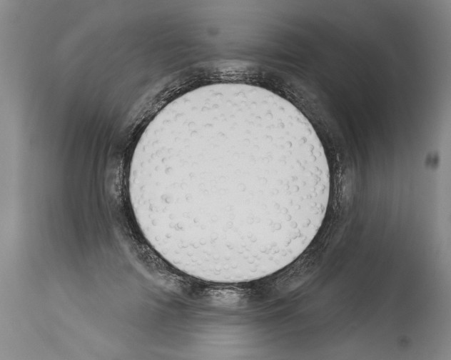 X0000114000698200911131141