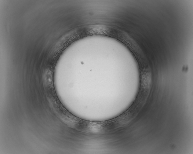 X0000114000701200911131141