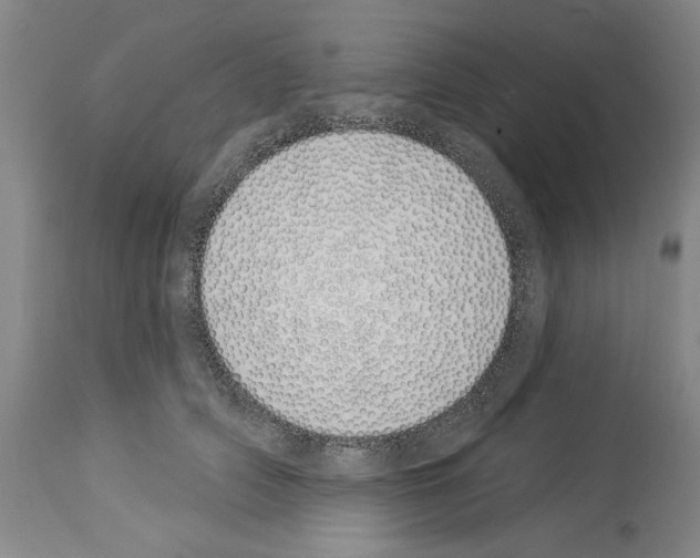 X0000114000706200911131141