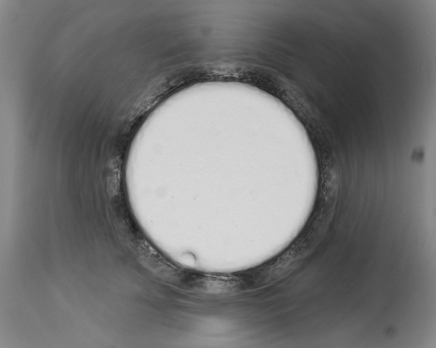 X0000114000707200911131141