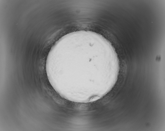 X0000114000710200911131141