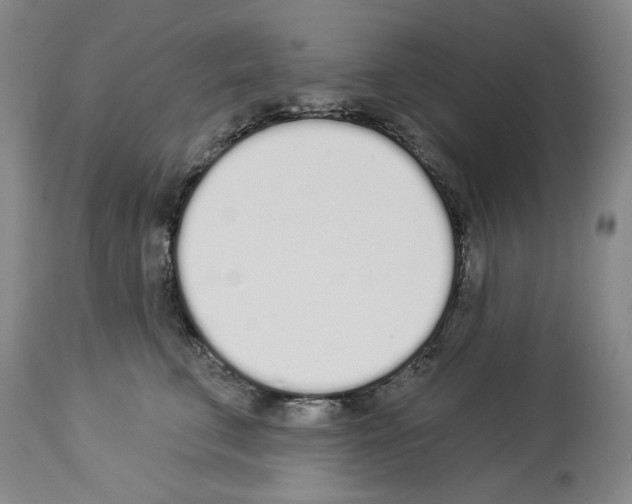 X0000114000711200911131141