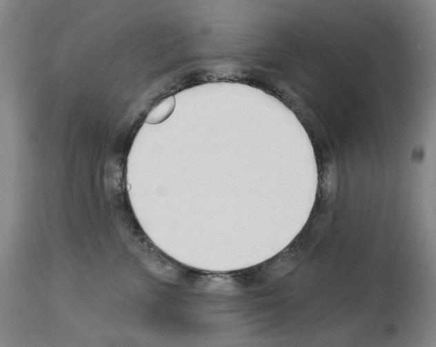 X0000114000715200911131141